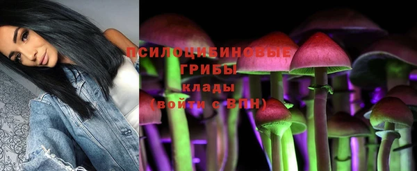 2c-b Алексин