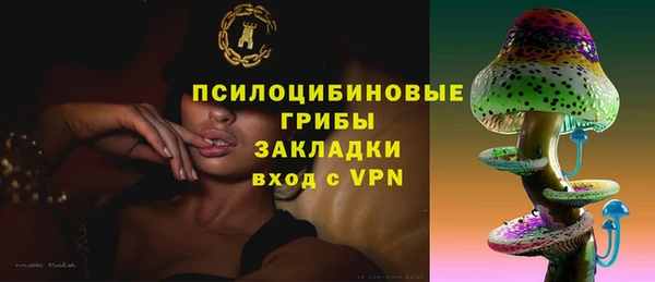 2c-b Алексин