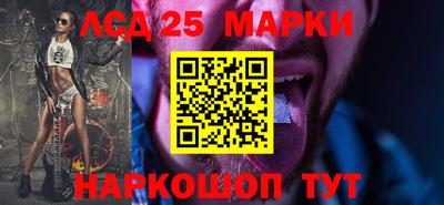 Альфа ПВП Владикавказ