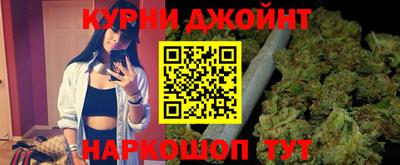Альфа ПВП Владикавказ