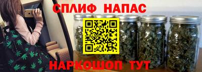 Альфа ПВП Владикавказ