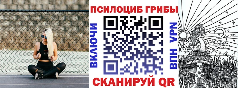 блэк спрут маркетплейс  Махачкала  Галлюциногенные грибы прущие грибы 